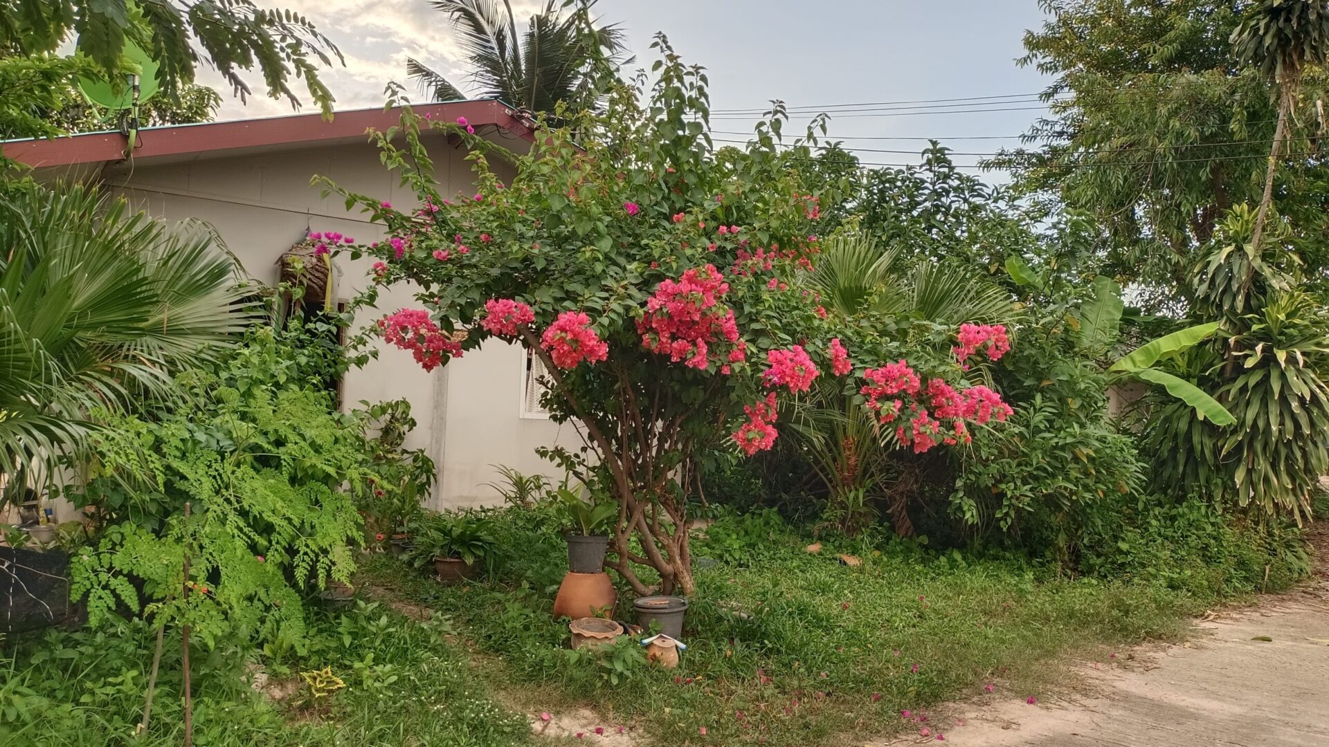 img 20230621 181147