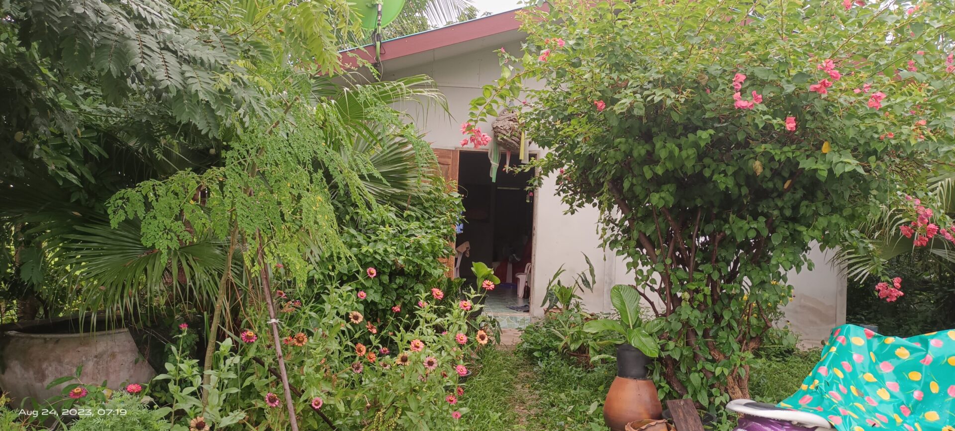 img 20230824 071944