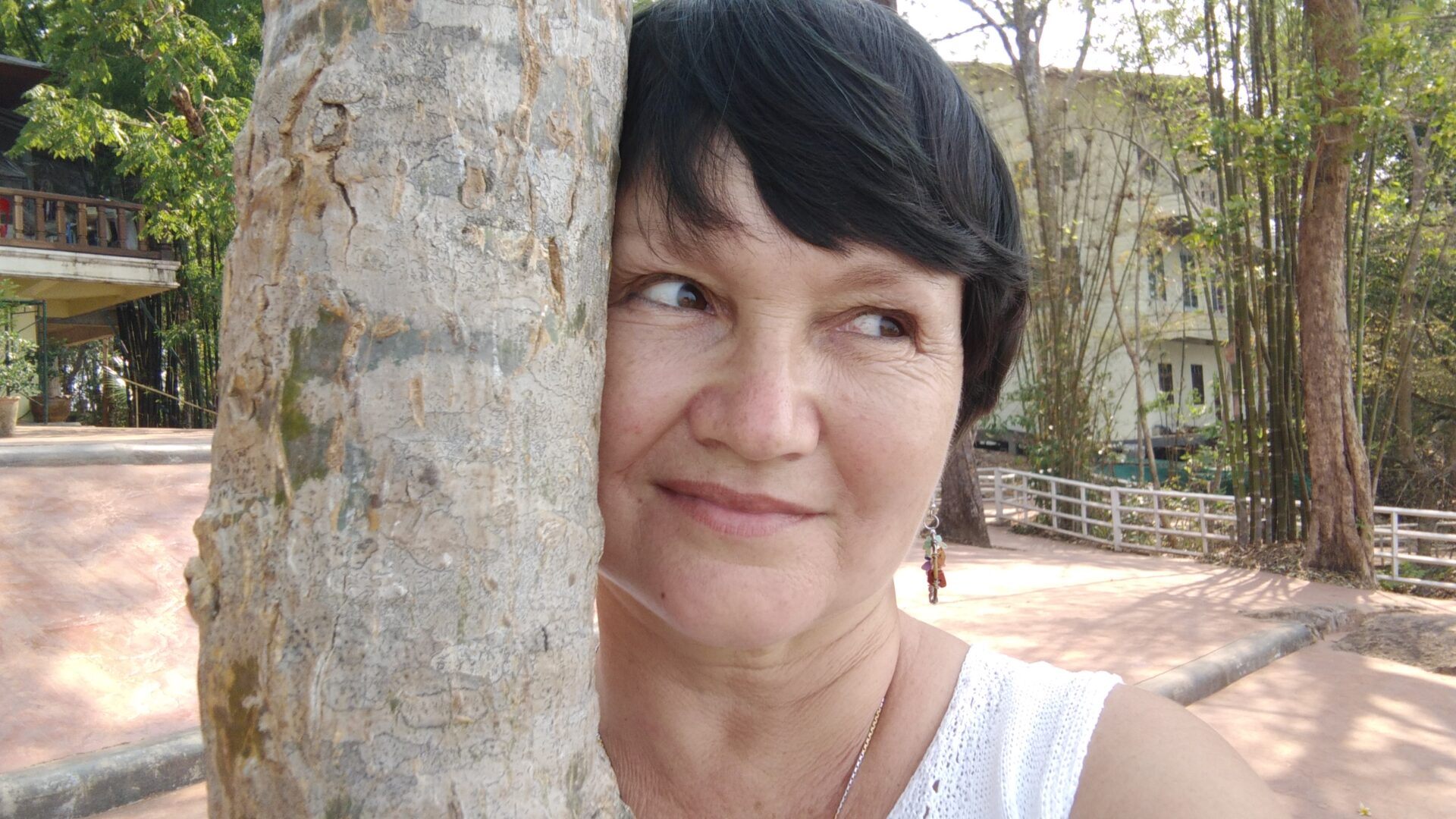 Ce que les arbres nous enseignent