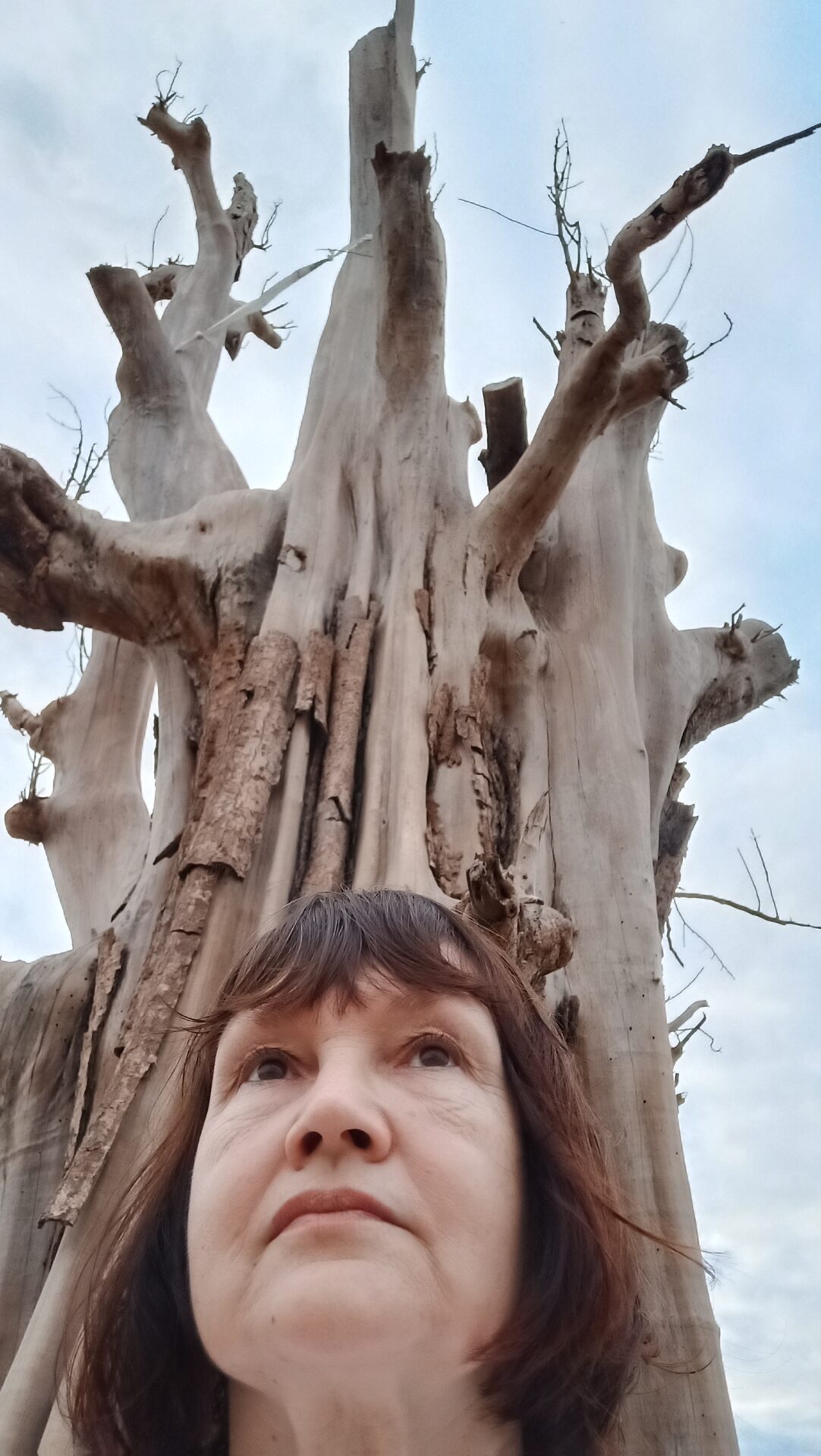 Quand je serai fatiguée des hommes,
J'irai m'asseoir au pied d'un arbre.