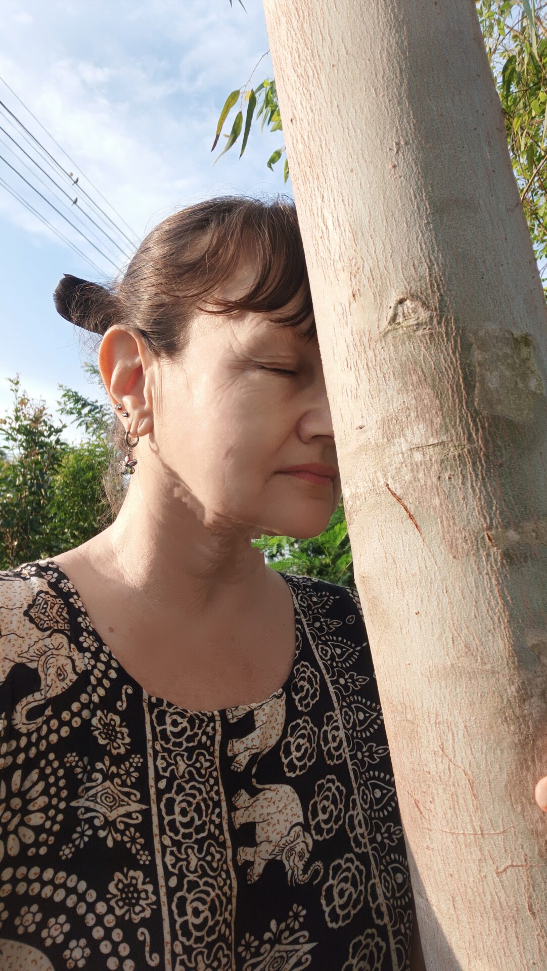 Les arbres sont mes amis