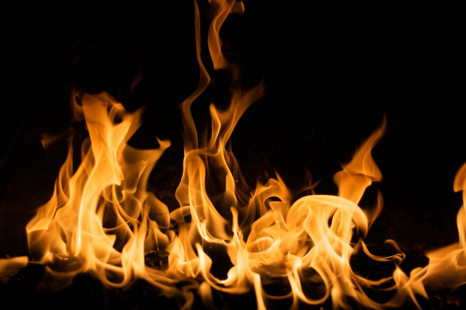 Le Feu : le grand transformateur. Le feu détruit... Mais il permet aussi la renaissance.