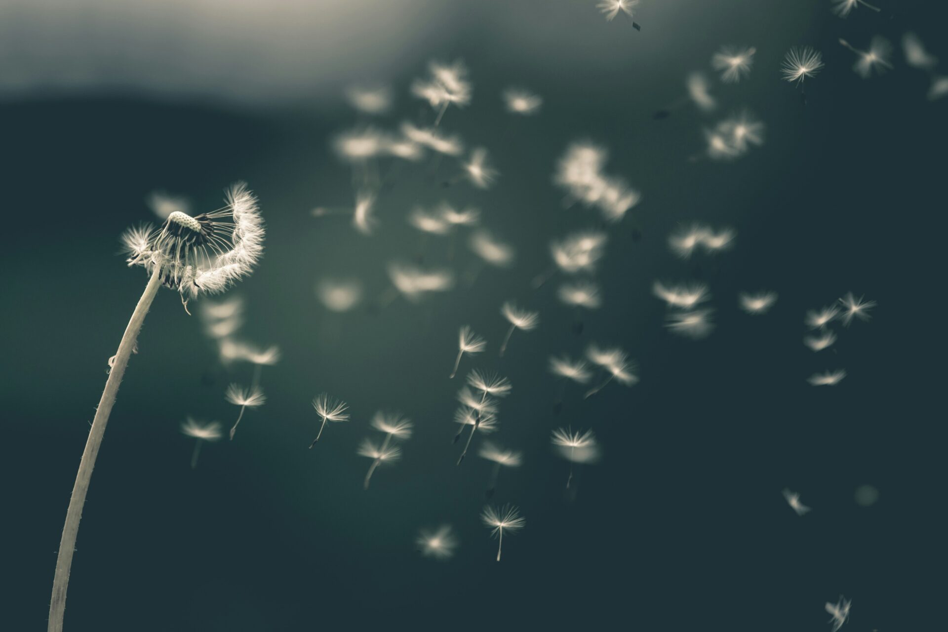L'air... Nous le respirons sans même y penser... Pourtant, sans lui, la vie disparaîtrait en quelques minutes.